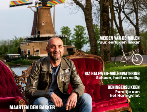 Nissewaard Lifestyle & Business